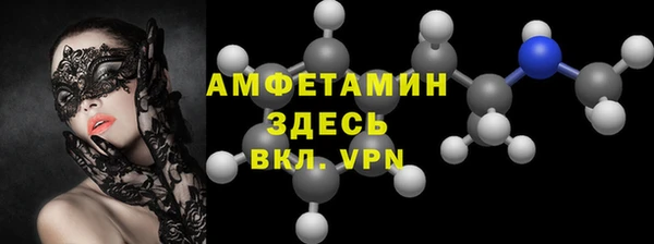 гидра Богородицк